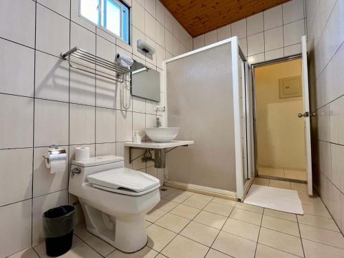 a bathroom with a toilet and a sink at The Blue Lagoon B&B in Fengbin