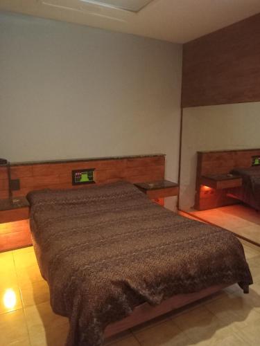 a bedroom with a large bed in a room at Hotel Lido in General Rodríguez
