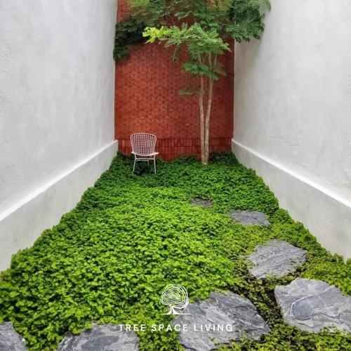 Tree Space Livingにある庭