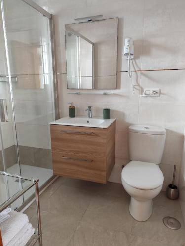 a bathroom with a toilet and a sink and a shower at CASA DIEGO PUERTO BLANQUILLO in Frigiliana
