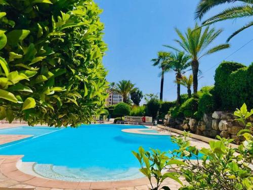 a large blue swimming pool with palm trees at ON VACAY - Votre havre de paix à 100 m des plages in Cannes