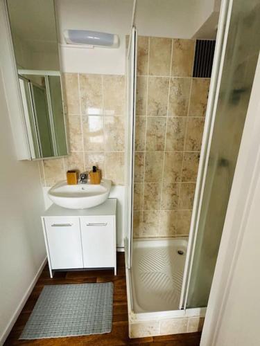 une salle de bain avec un lavabo et une douche dans l'établissement Appartement Escale Paquebot Confort et Élégance, à Saint-Nazaire