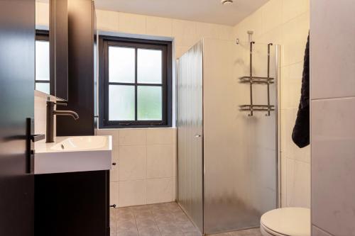 a bathroom with a shower and a sink and a toilet at Casa Black Nature in Holten
