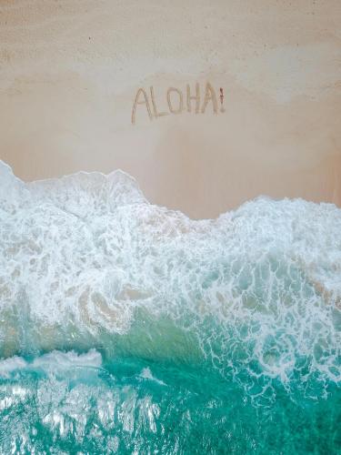 a painting of the ocean with the word aloha at Olhumathi View Inn in Ukulhas