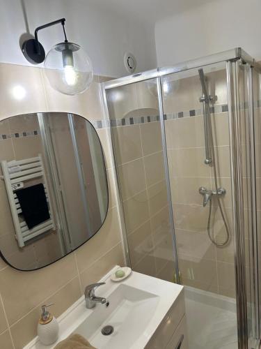 une salle de bain avec une douche, un lavabo et un miroir dans l'établissement Joli appartement avec vue incroyable, à Saint-Jeannet