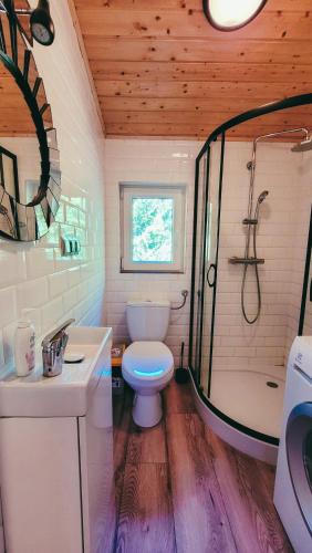 a bathroom with a toilet and a shower and a sink at Chata Marzeń LUX in Wólka