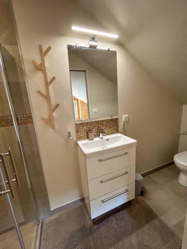 une salle de bain avec un lavabo, une douche et un miroir dans l'établissement chambres d hôtes Puchouaou Chêne sur le chemin de Saint Jacques de compostelle, à Montesquiou