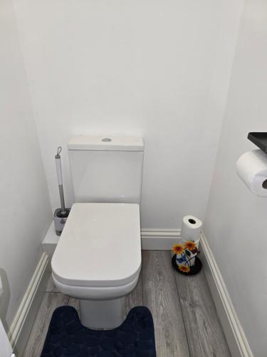 a bathroom with a white toilet and a blue rug at Realwood Homes- Broomhill Road in Nottingham