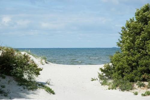 a beach with trees and the ocean in the background at Lomma Station Inn in Lomma