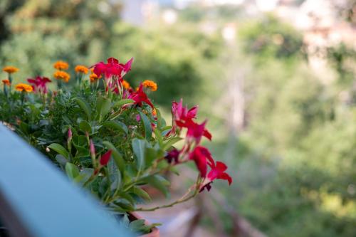 Giardino di Le Stanze della Terrazza sul Borgo