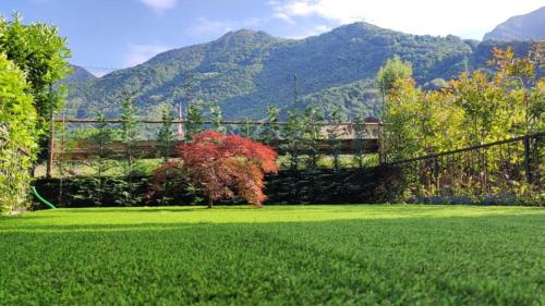 a field of grass with mountains in the background at La casa di Sara in Valsassina in Introbio