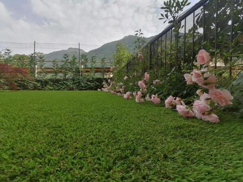 a row of pink flowers on the side of a fence at La casa di Sara in Valsassina in Introbio