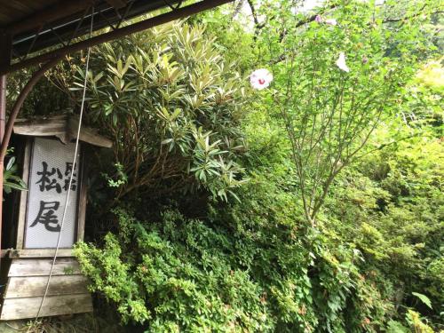 Um jardim em 民宿松尾