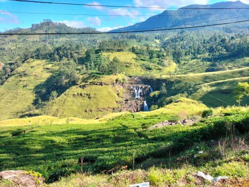 Un paisaje natural cerca de la casa de huéspedes
