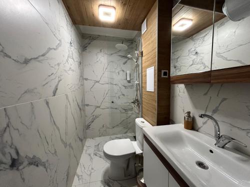 a bathroom with a toilet and a sink at Old Town Apartment 3 with Free Private Parking in Plovdiv