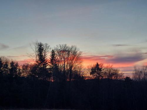 a group of trees with a sunset in the background at Chatka ChoćCo in Ryglice
