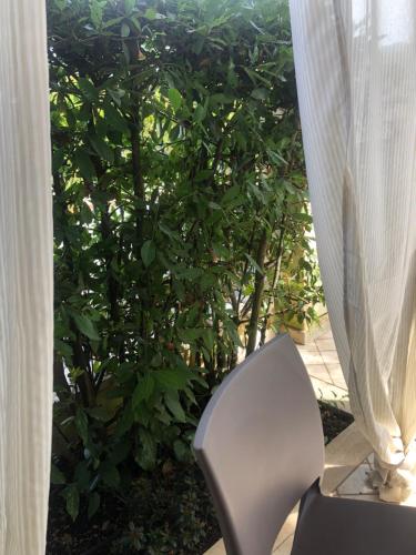 Κήπος έξω από το Versilia Villina Lola