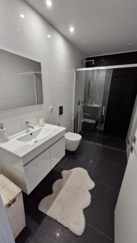 a bathroom with a sink and a toilet and a mirror at Appartement Ponte de lima in Ponte de Lima