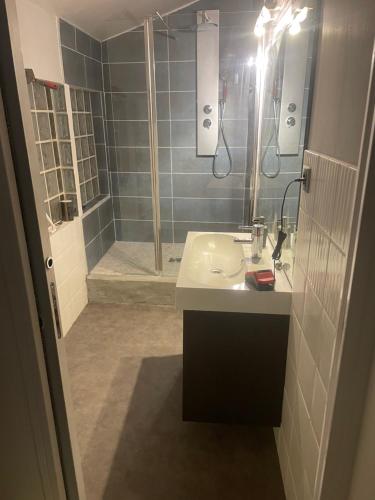 un baño con lavabo y ducha en Appartement Cosy tout équipé, en Colombes