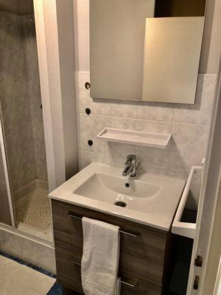 une salle de bain avec un lavabo et une douche dans l'établissement Plein sud - Golfe du Morbihan, à Larmor-Baden