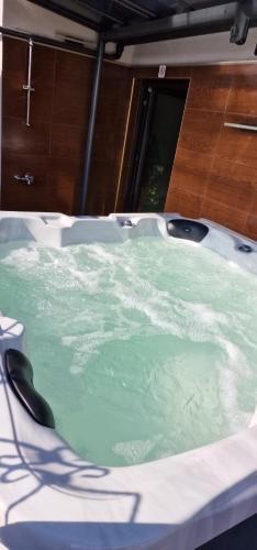 a bath tub with green water in it at Enika Hotel in Tryavna