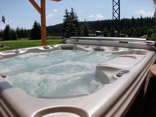 a jacuzzi tub with water in a yard at Resort Sf Petru in Tău Bistra