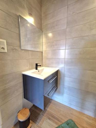 une salle de bain avec un lavabo et un miroir dans l'établissement Pontarlier Centre Historique 3ème - Ma Petite Résa, à Pontarlier