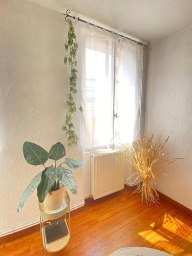 Photo de la galerie de l'établissement Maison charmante centre Montauban, à Montauban