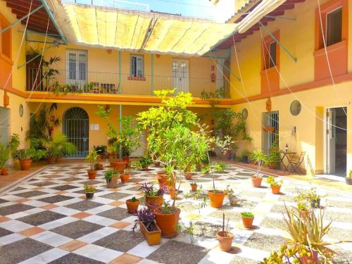 Santo Rey Suite