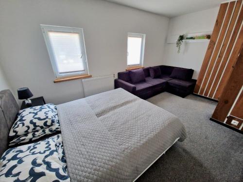 a bedroom with a bed and a couch at Apartamenty Promyk Wisełka in Wisełka