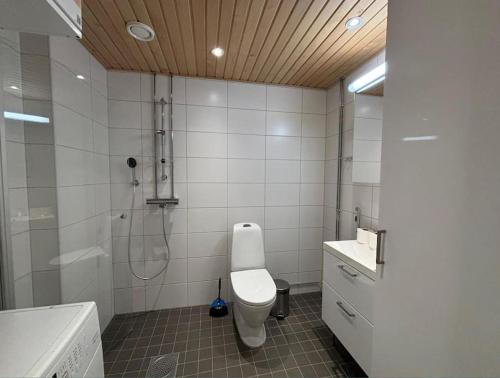 Ένα μπάνιο στο Kotimaailma Helsinki - Tilava kolmio Tikkurilassa