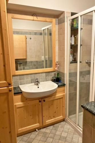 a bathroom with a sink and a shower at Chalet Erika: che vista! in San Martino di Castrozza