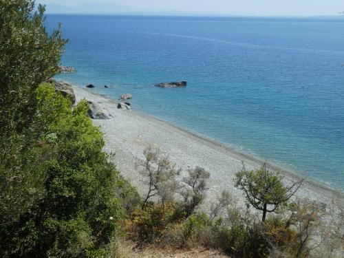 an empty beach with trees and blue water at Cosy and quiet in Áyios Andréas Arkadias