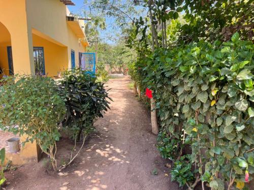 a garden path next to a building with plants at CAP NATURE Campement in Nialon
