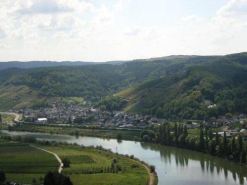 Gallery image of Ferienweingut St. Martin in Ensch
