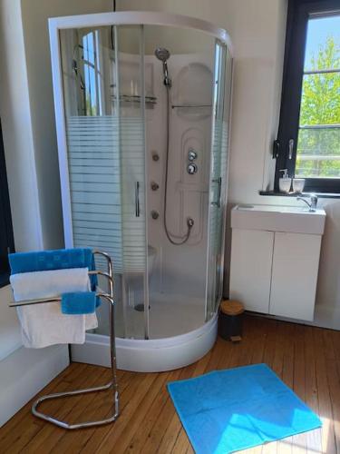 a bathroom with a shower and a blue rug at Le numéro 5 in Bar-le-Duc