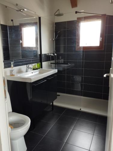 une salle de bain avec un lavabo, des toilettes et une douche dans l'établissement entre terre et mer 3 pièces, à Gattières