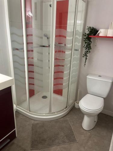 une salle de bain avec douche et toilettes dans l'établissement Maison 2 chambres, à Saint-Jean-sur-Mayenne