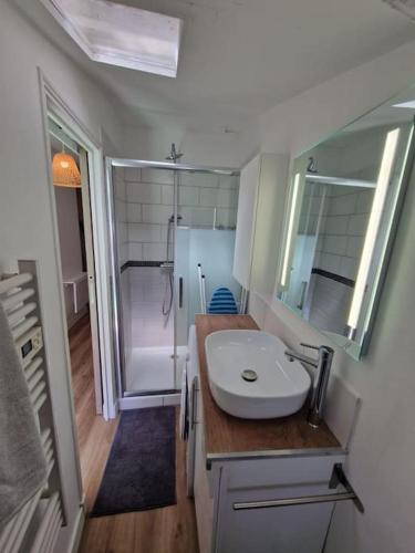 une salle de bain avec un lavabo blanc et une douche dans l'établissement Charmant T2 proche de la Gare Matabiau, à Toulouse