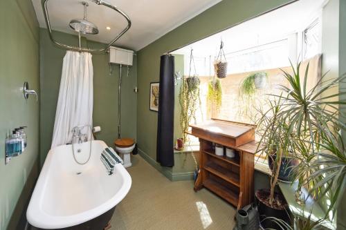 The Green House Guest House photo 4