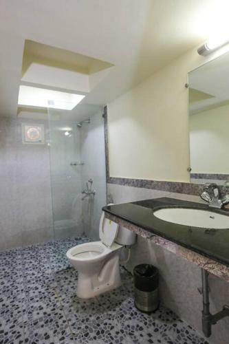 a bathroom with a toilet and a sink and a mirror at BnBBuddy Paradise Cove Retreat, 6BHK, Goa in Majorda
