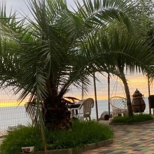 a group of palm trees and chairs on the beach at Our home in Chakvi