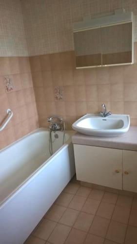 une salle de bain avec un lavabo et une baignoire et un lavabo dans l'établissement Appartement proche circuit 24 h du Mans, à Moncé-en-Belin