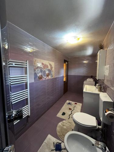a bathroom with a toilet and a sink at Casa Stefi si Alexia in Polovragi