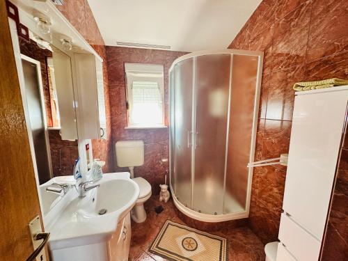 a bathroom with a shower and a sink at Apartment Schwarz in Petrčane V in Gornje Petrčane