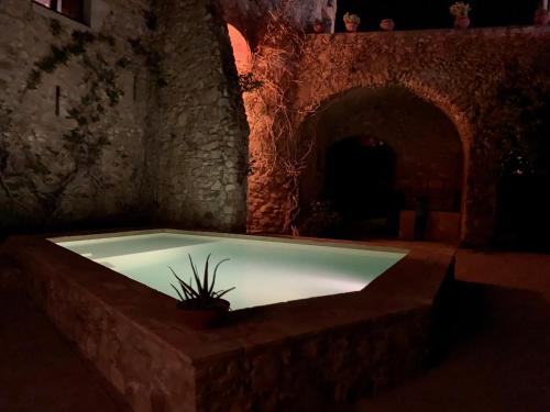 a bath tub with a plant in the middle of a room at Els Racons del Fort Castle hosting up to 18 people in Capmany