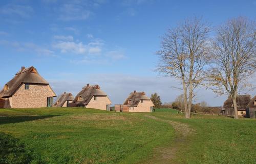 a group of houses with thatched roofs on a field at Reetdorf Geltinger Birk Malerhaus Eichenwald in Nieby