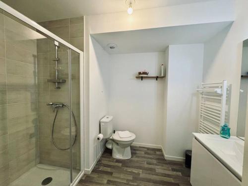 une salle de bain avec une douche, des toilettes et un lavabo dans l'établissement Le TerraRosa, studio à Rennes, à Chantepie
