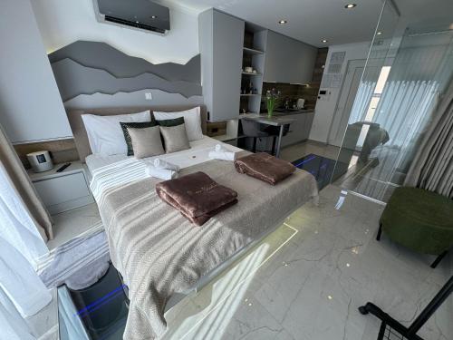 NašiceLa Luna Petite Suite Deluxe Apartment with Pool & Jacuzzi, Bikes and Covered Parking的一间卧室，有一张大床，上面有两个枕头