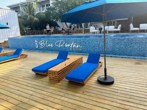 two blue chairs and an umbrella next to a swimming pool at Palm Luxury King Suite, Pool, ocean views, beach short walk West Bay West End in West Bay